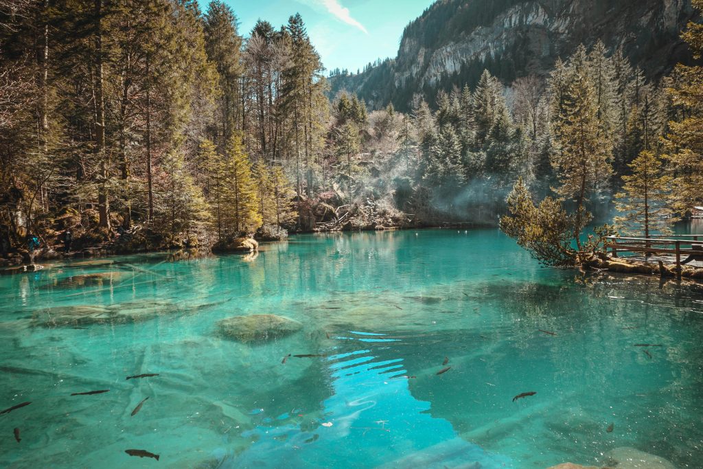 Serene turquoise waters of Blausee Lake surrounded by lush trees in Switzerland.