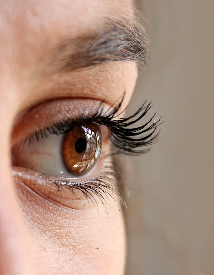 women-s-black-mascara-63320 Detailed photo showing a brown eye with long eyelashes and eyebrow.
